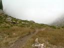 malla del llop