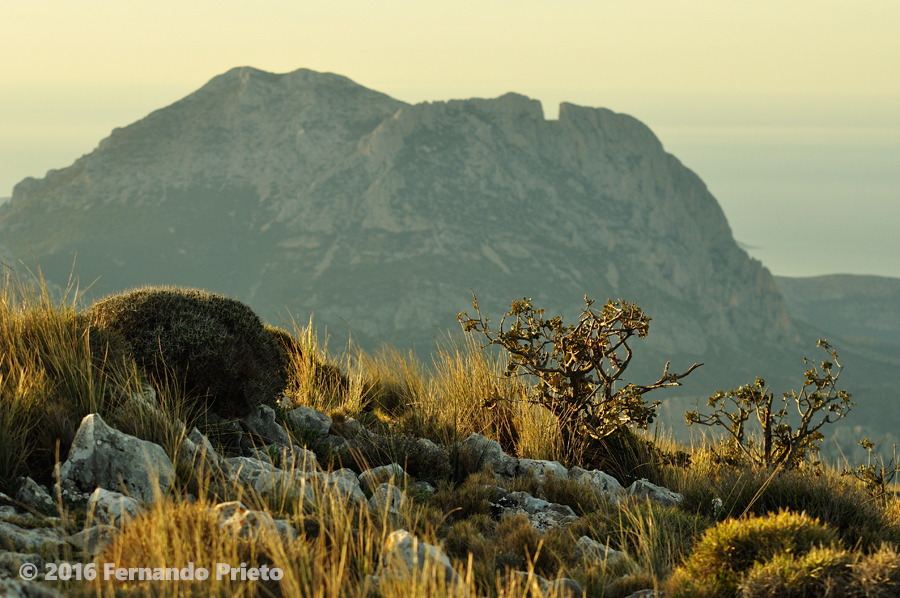 Puig Campana desde Aitana