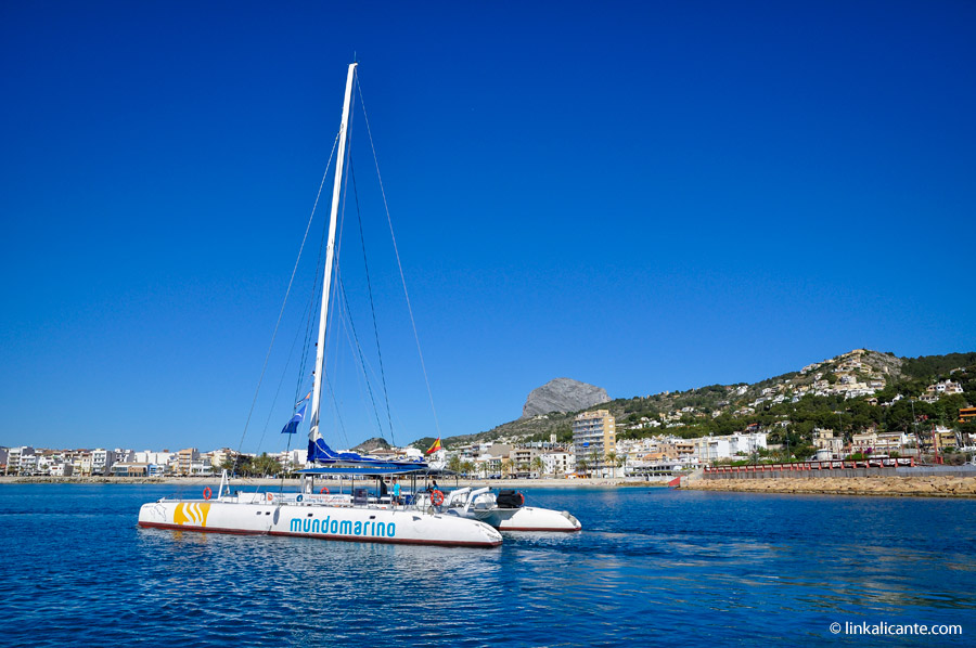 Catamarán de Mundo Marino