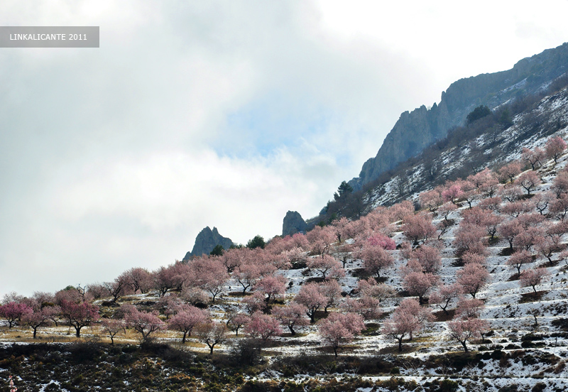 Ruta Aitana con nieve desde Partegat