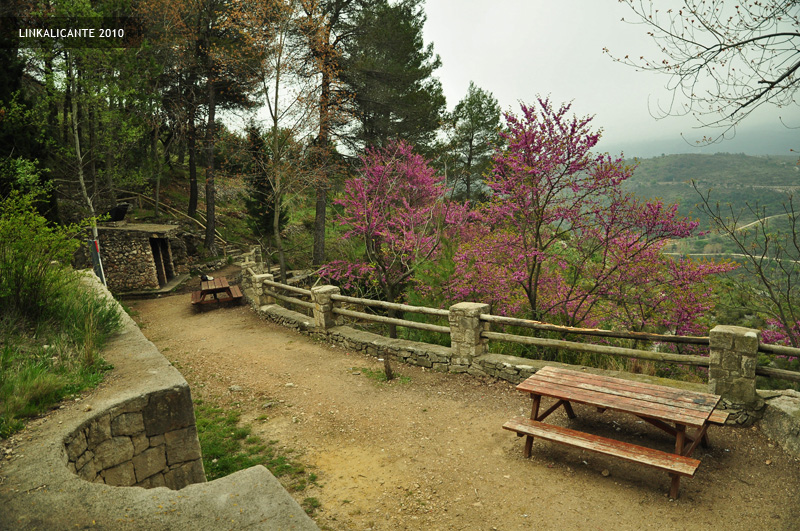 Área Recreativa Font dels Olbits, la Safor