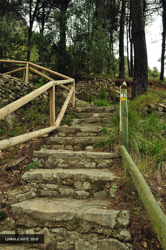 Área Recreativa Font dels Olbits, la Safor