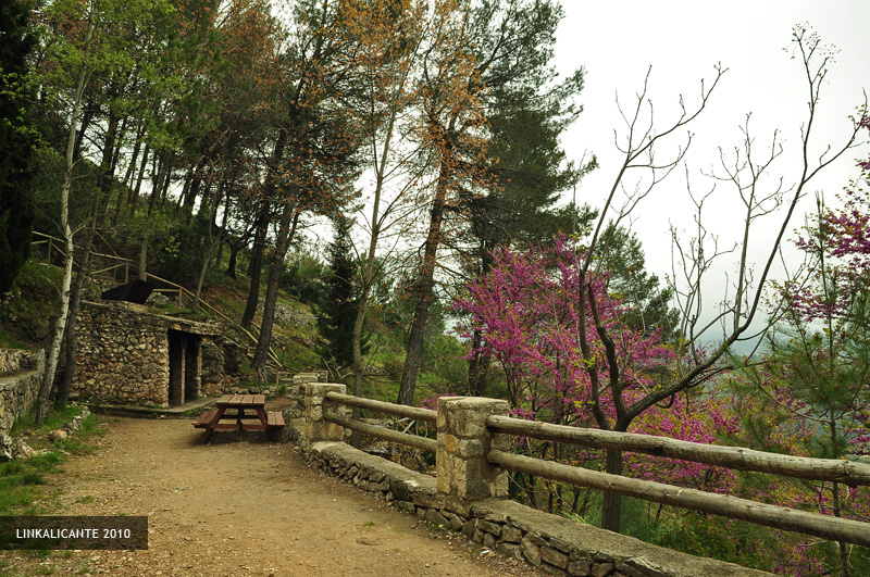 Área Recreativa Font dels Olbits, la Safor