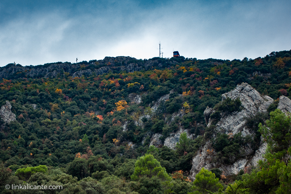 El Carrascar de la Font Roja