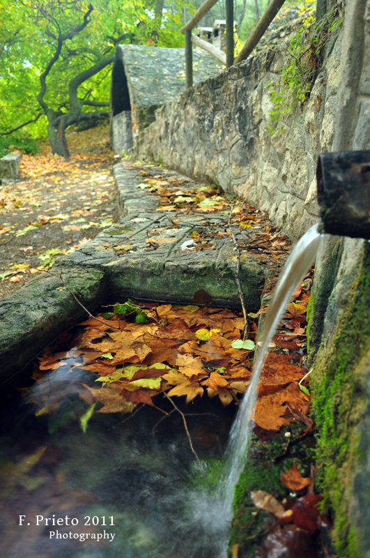 Otoño en el Preventori de Alcoi