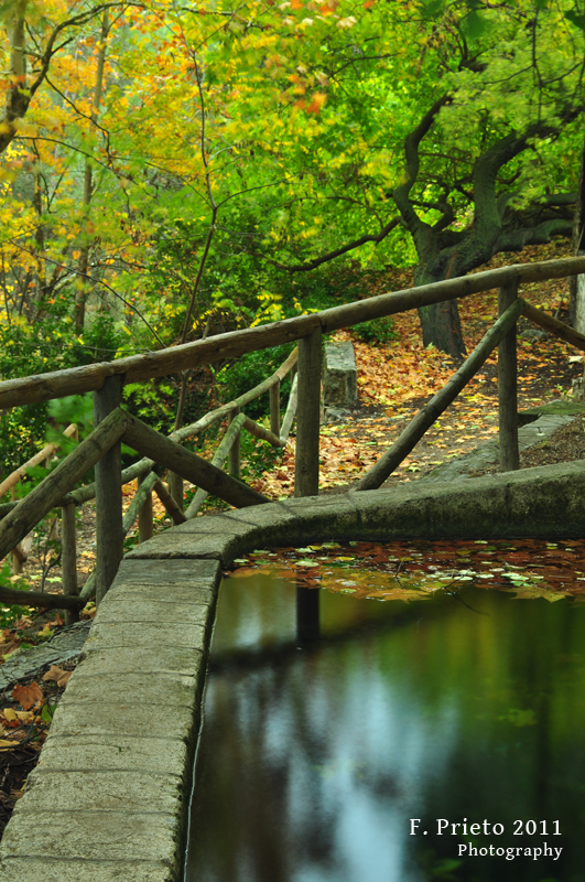 Otoño en el Preventori de Alcoi