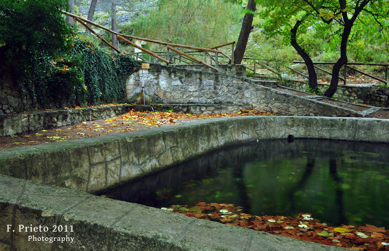 Otoño en el Preventori de Alcoi