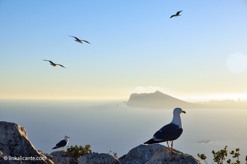 Parque Natural Peñón de Ifach