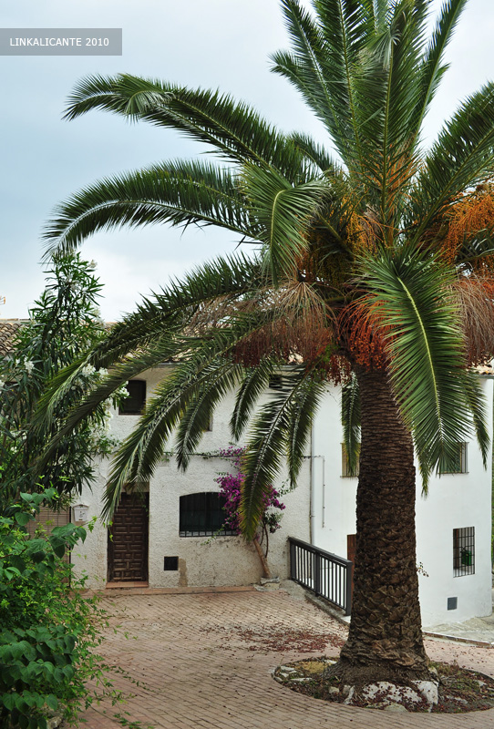 Ruta de los 8 pueblos, la Vall de Gallinera