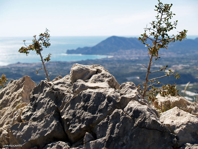 Ruta Bèrnia desde Fonts Algar, PR-CV 48