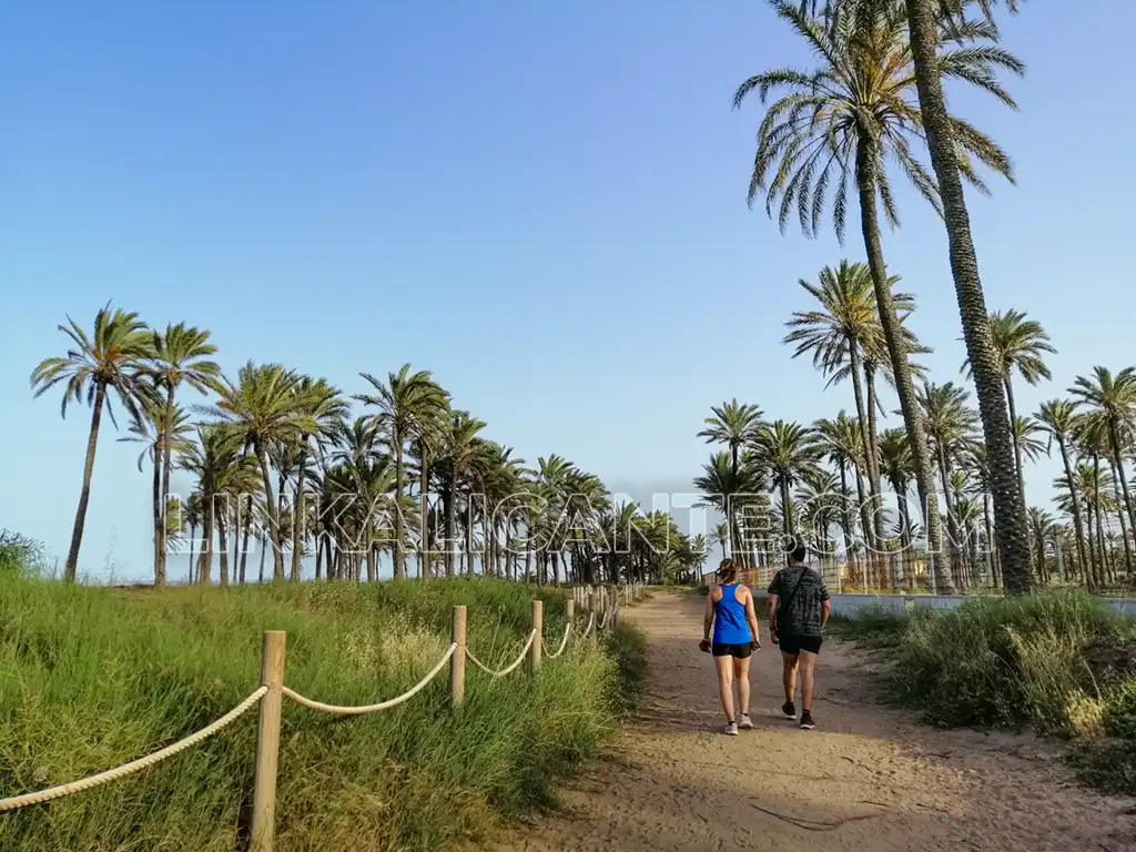 Cala Ferris, Torrevieja