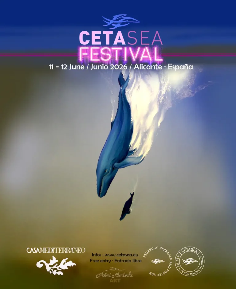 Inicio 3 Cartel CETASEA Festival 2026 Alicante