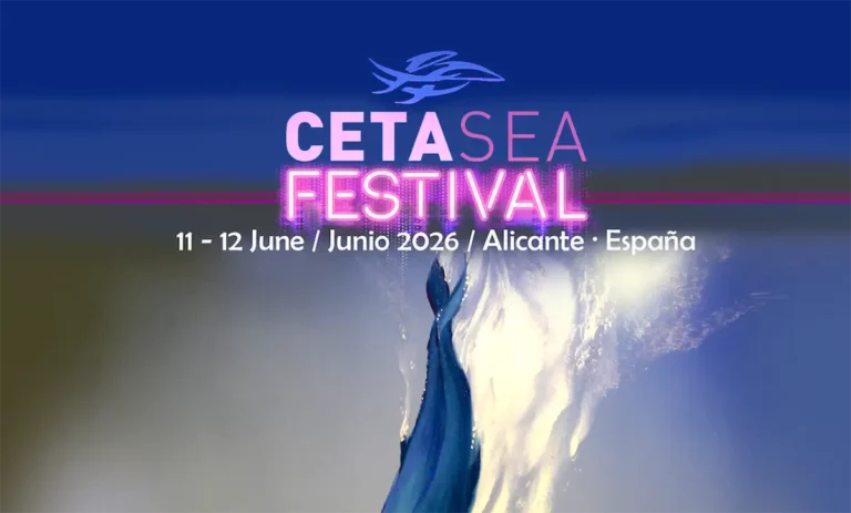 Inicio 3 Cetasea Festival Alicante 2026