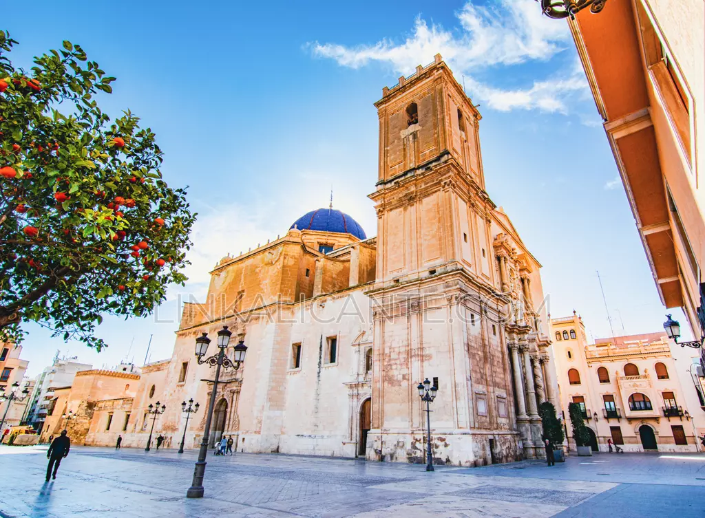 Qué ver en Elche, Basílica de Santa María