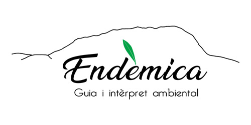 Endèmica