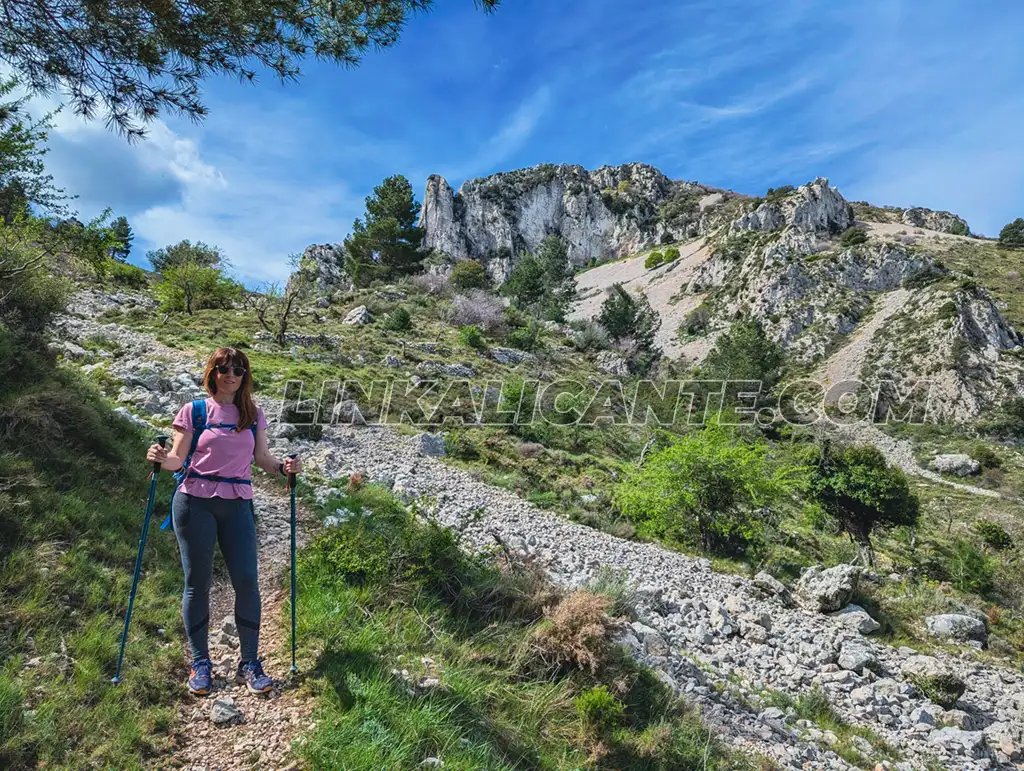 Fageca - Mallada del Llop, Serrella, Alicante