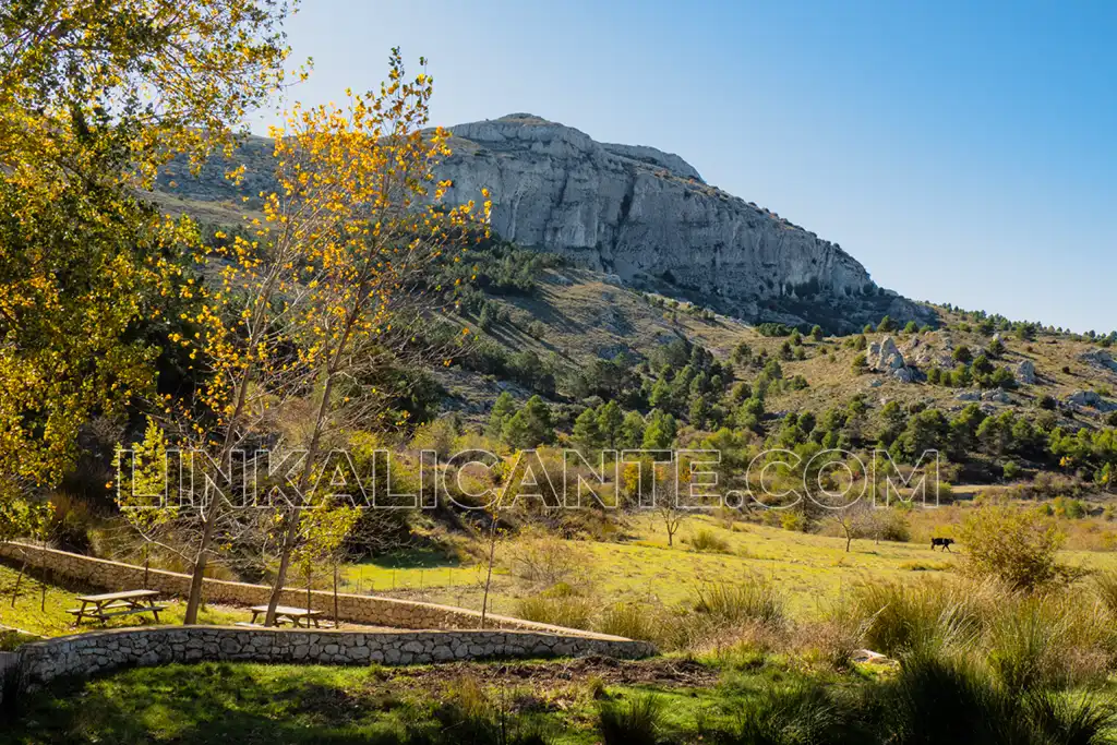 Font de l'Arbre, Aitana