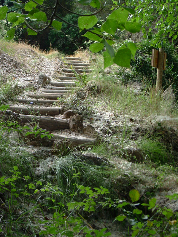 Font de la Coveta, nacimiento del Vinalopó - LinkAlicante