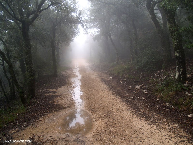 Parque Natural Font Roja