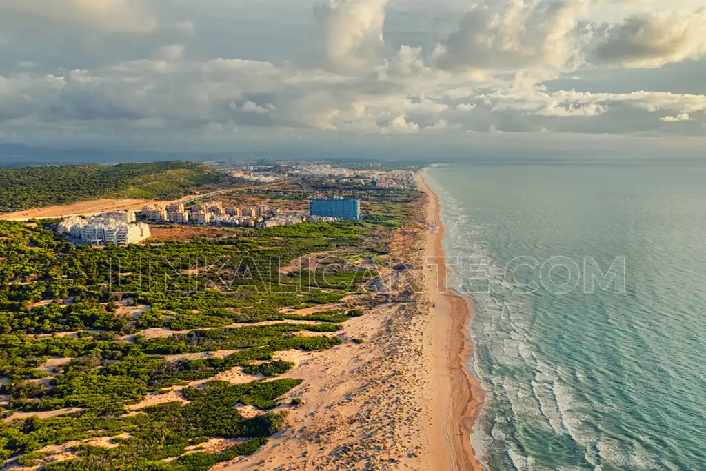 Guardamar, dunes and pine forest