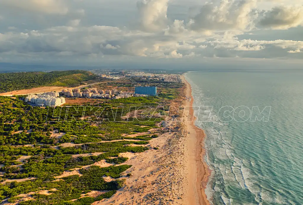 La Vega Baja fuera de temporada: qué ver en Torrevieja, Guardamar y Orihuela de octubre a abril 12 Guardamar, playa con dunas y pinada