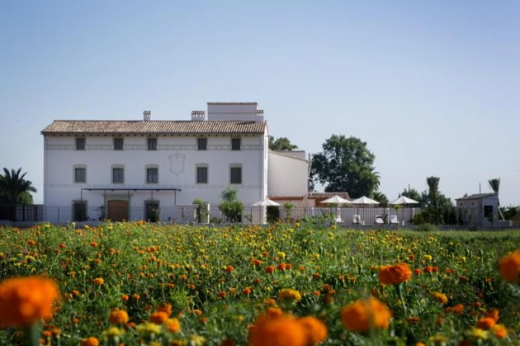 Dormir, descubrir y refrescarse: València también se vive desde la piscina 1 Hotel La Mozaira València
