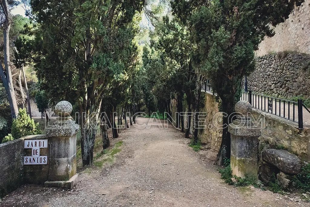 jardin-santos-penaguila-camino-cipreses