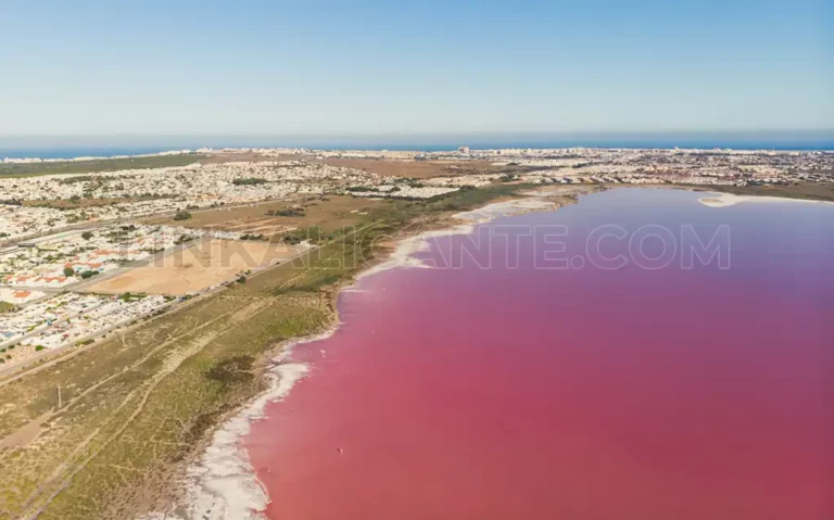 Laguna Rosa de Torrevieja