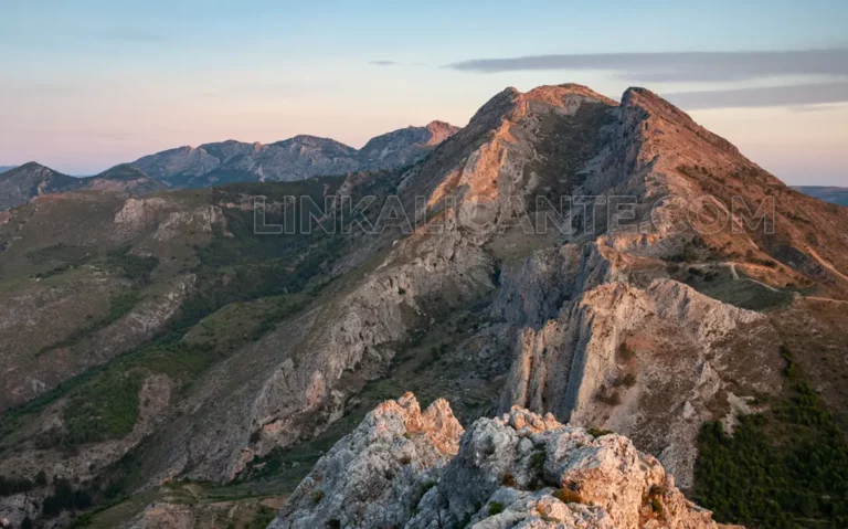 mallada-del-llop-serrella-alicante