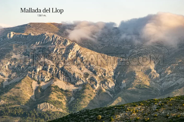 mallada-llop-famorca-serrella-alicante