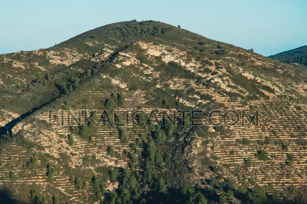 margenes-piedra-seco-marina-alta-alicante