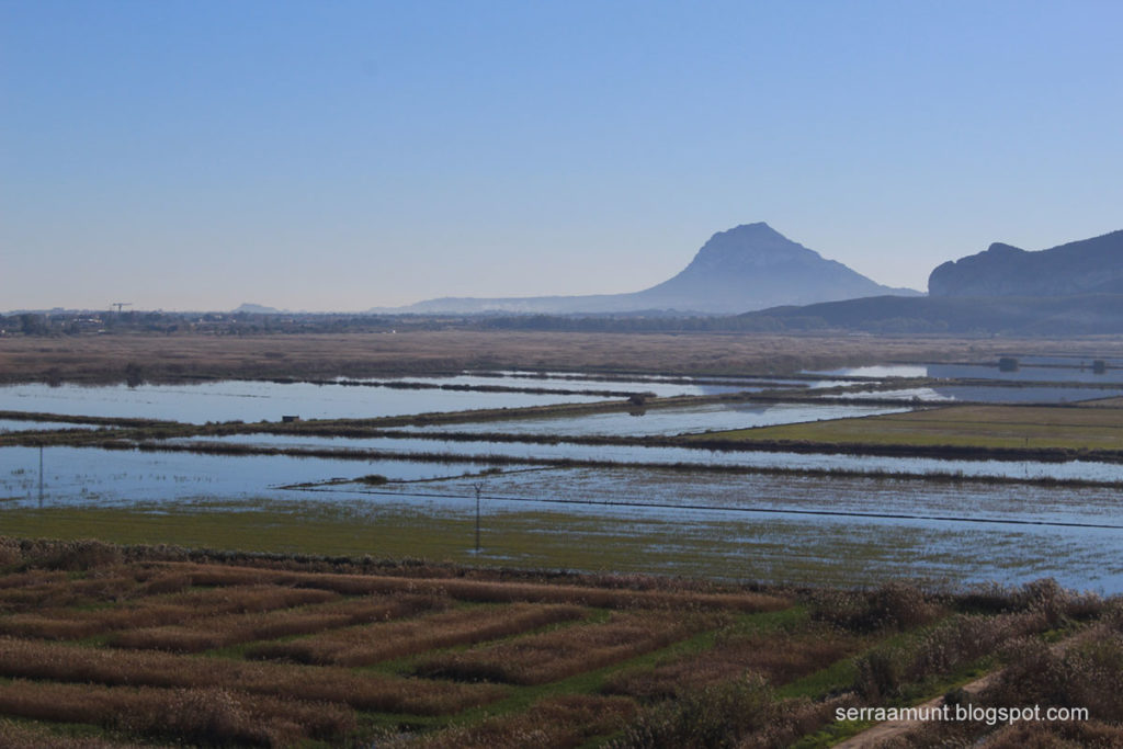 Parque Natural de la La Marjal de Pego Oliva