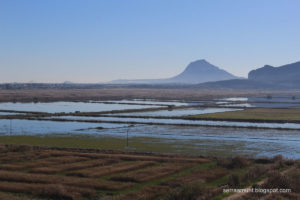 Parque Natural de la La Marjal de Pego Oliva