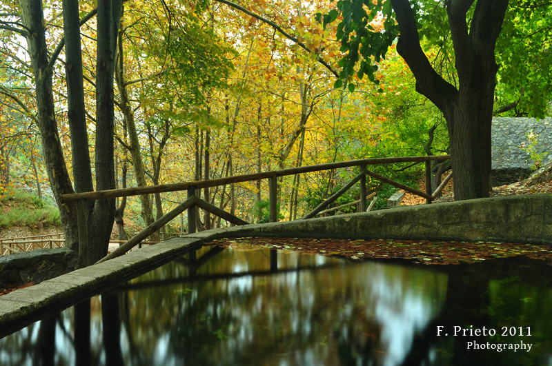 Otoño en el Preventori de Alcoi