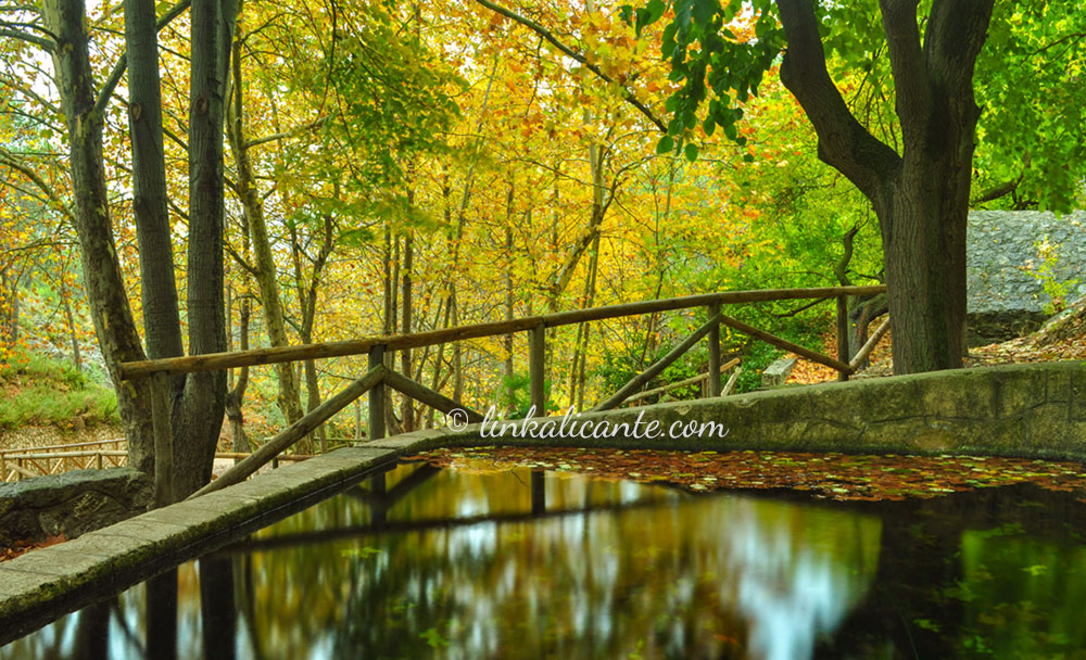 Otoño en el Preventori de Alcoi