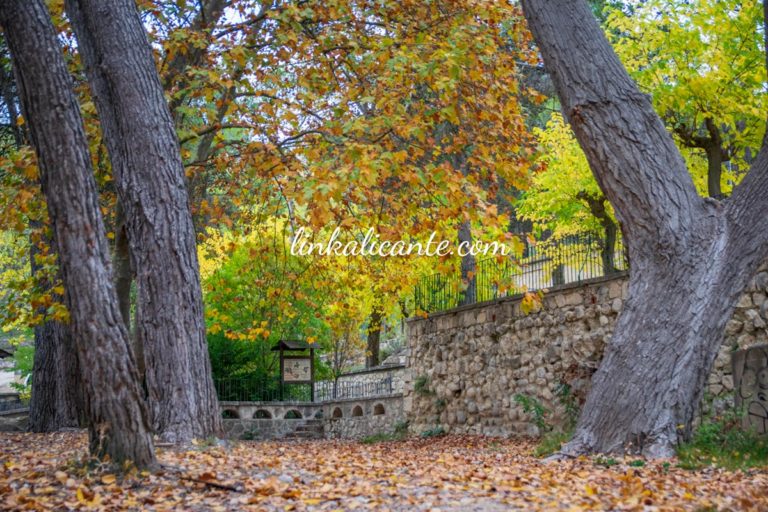 El Preventori de Alcoi en Otoño