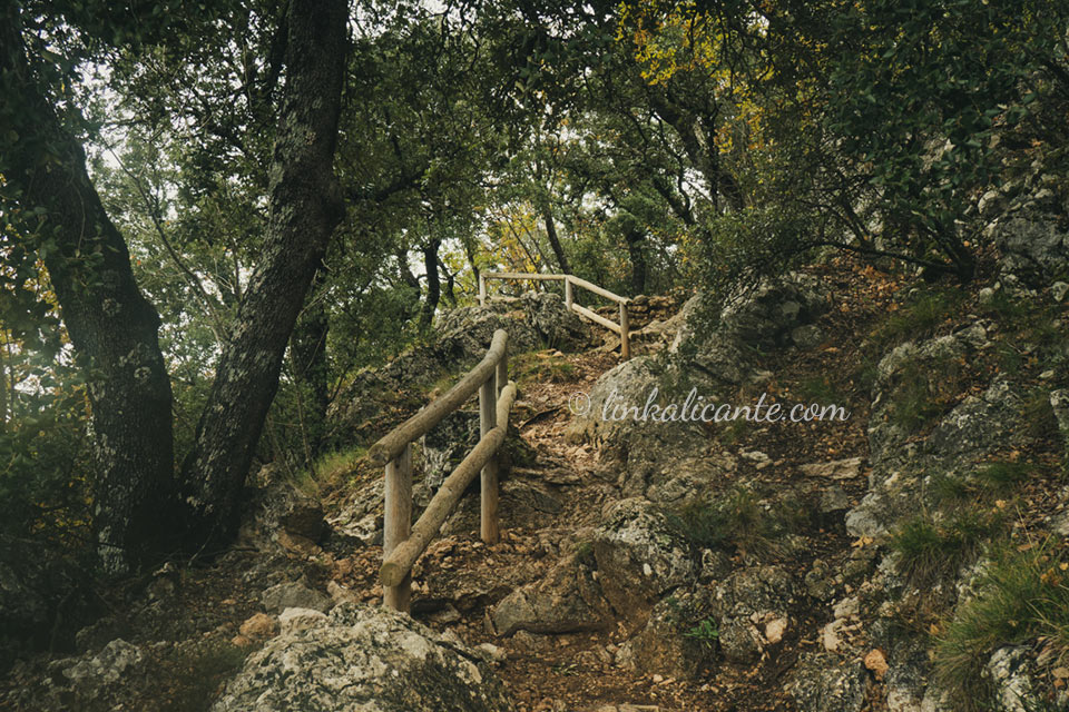 Parc Natural de la Font Roja, Alcoi