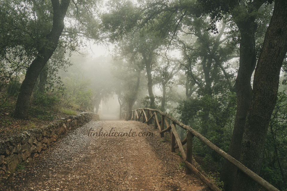 Font Roja Natural Park