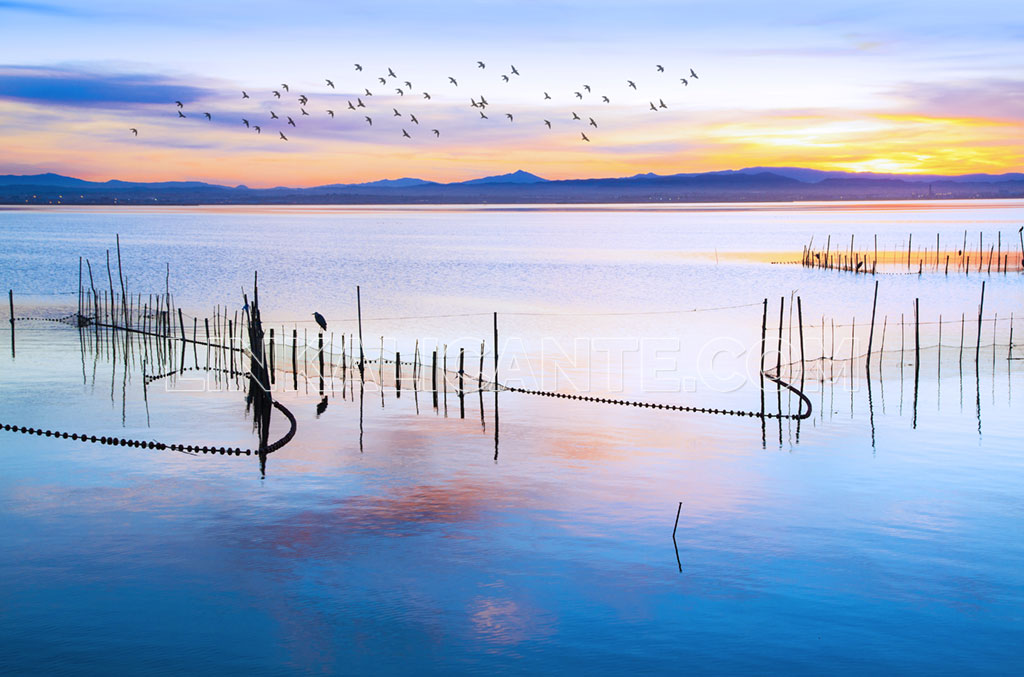 natural-park-albufera-valencia