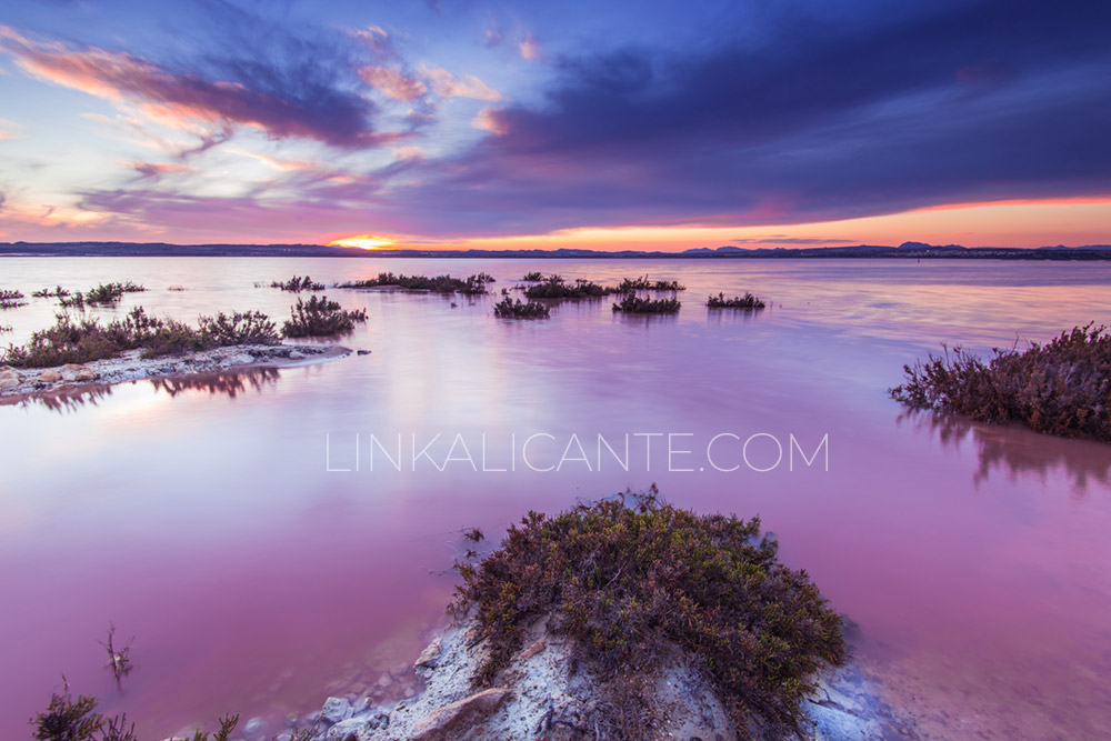 Parque Natural de las Lagunas de la Mata y Torrevieja