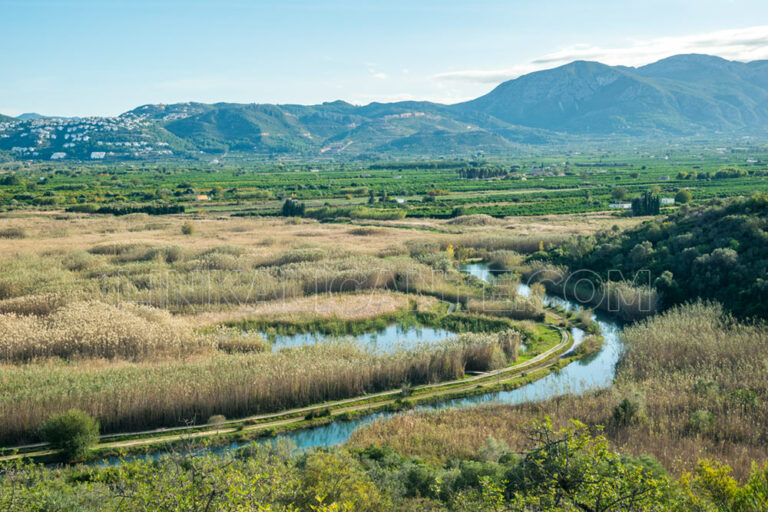 Parque Natural Marjal de Pego - Oliva
