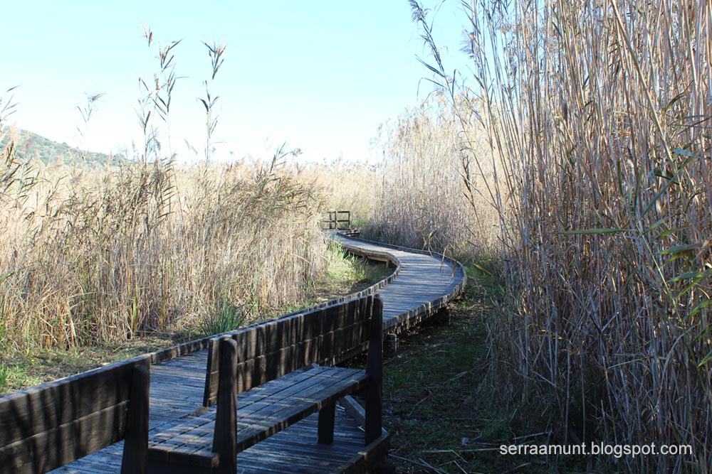 Pasarela de Madera, Marjal de Pego-Oliva