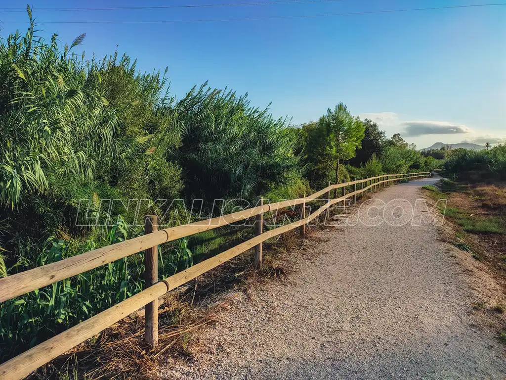Sendero del Tarafa, Aspe