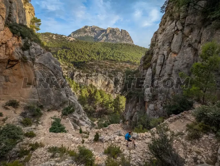 Passet del Goleró y Puig Campana