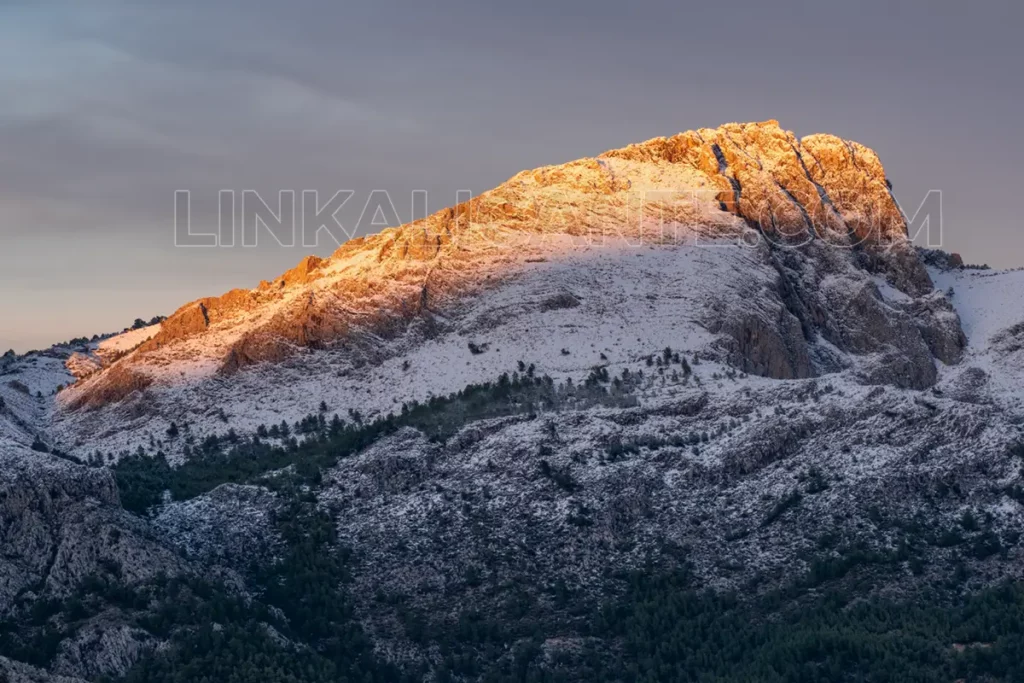 penya-castellet-beniarda-nieve-2018