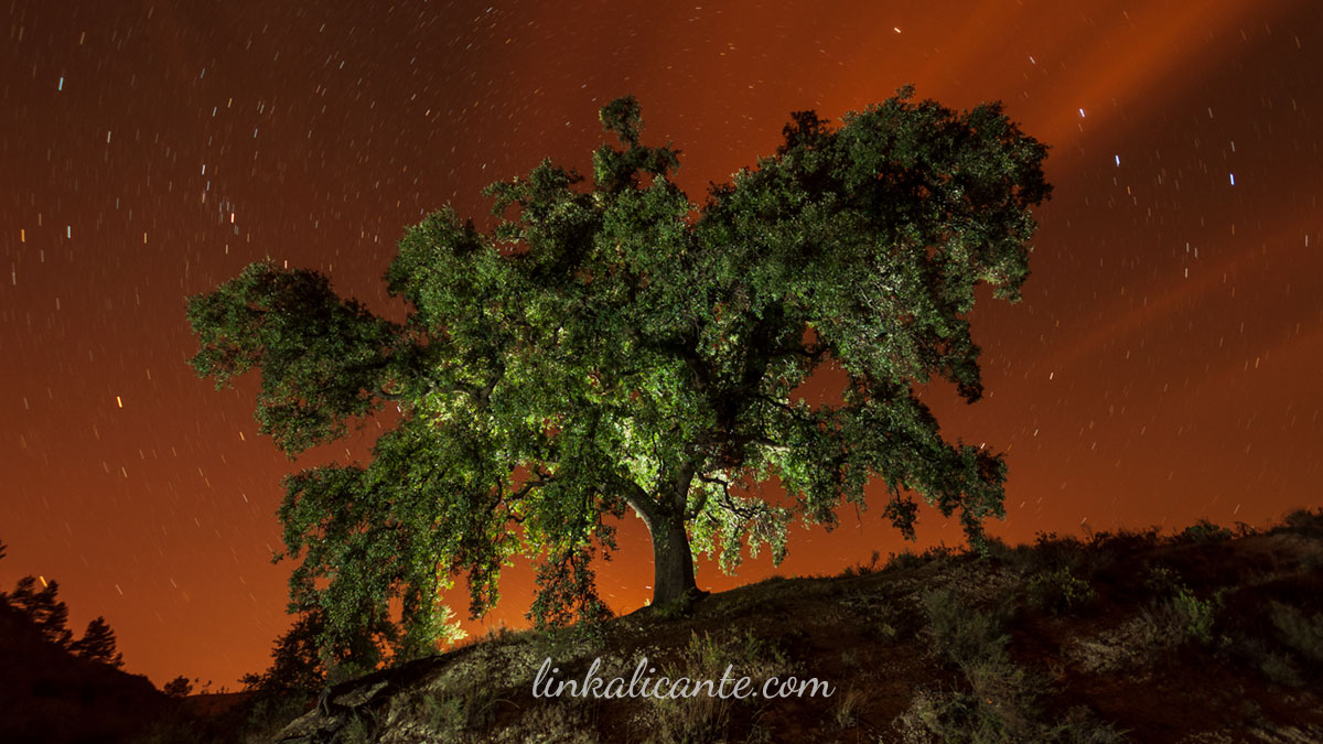 Quedada Perseidas LinkAlicante