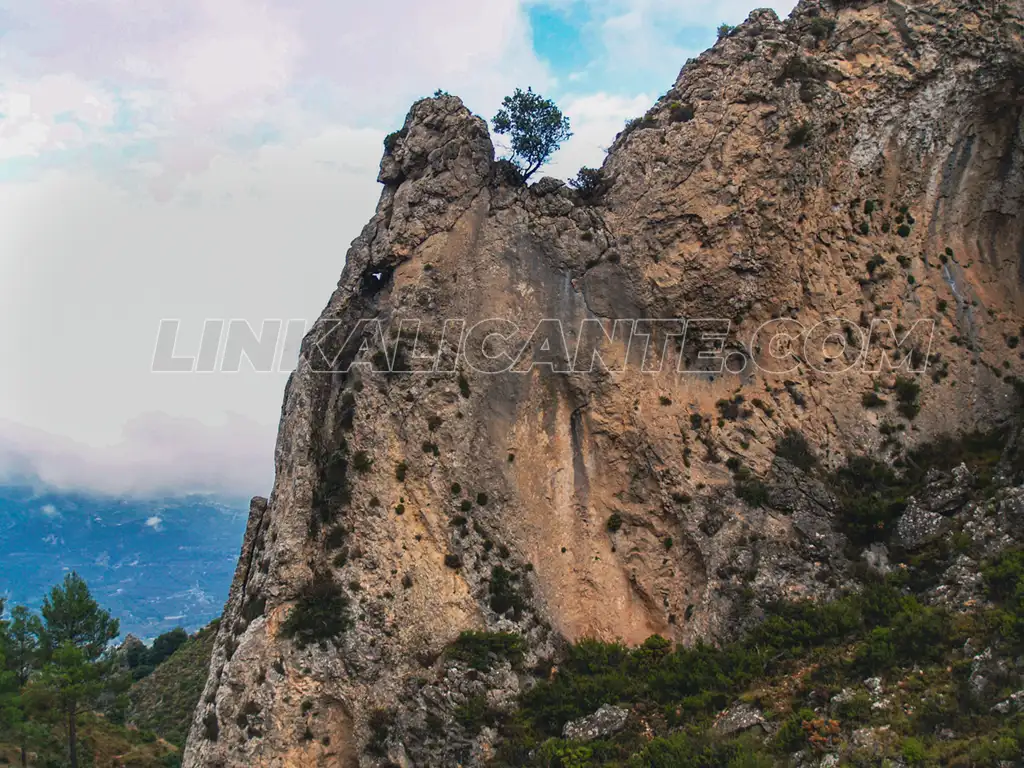 Pla de la Casa (Serrella) desde Quatretondeta por PR-CV 24 10 Pla de la Casa desde Quatretondeta
