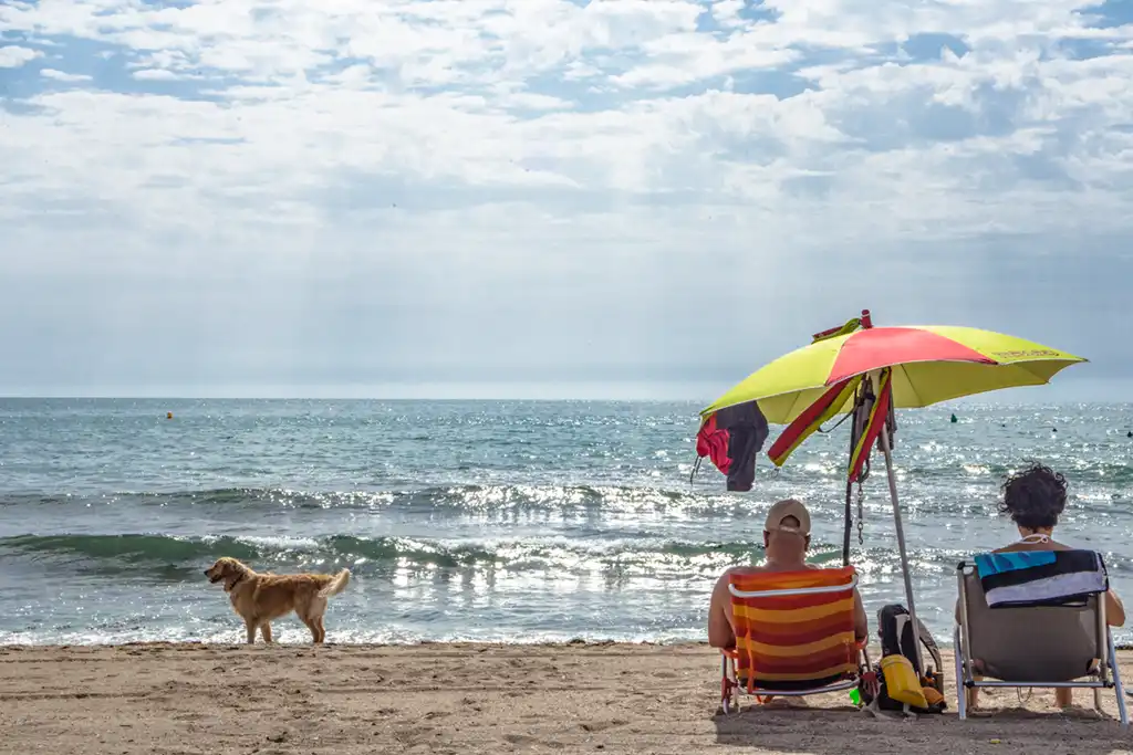 Playa canina Agua Amarga