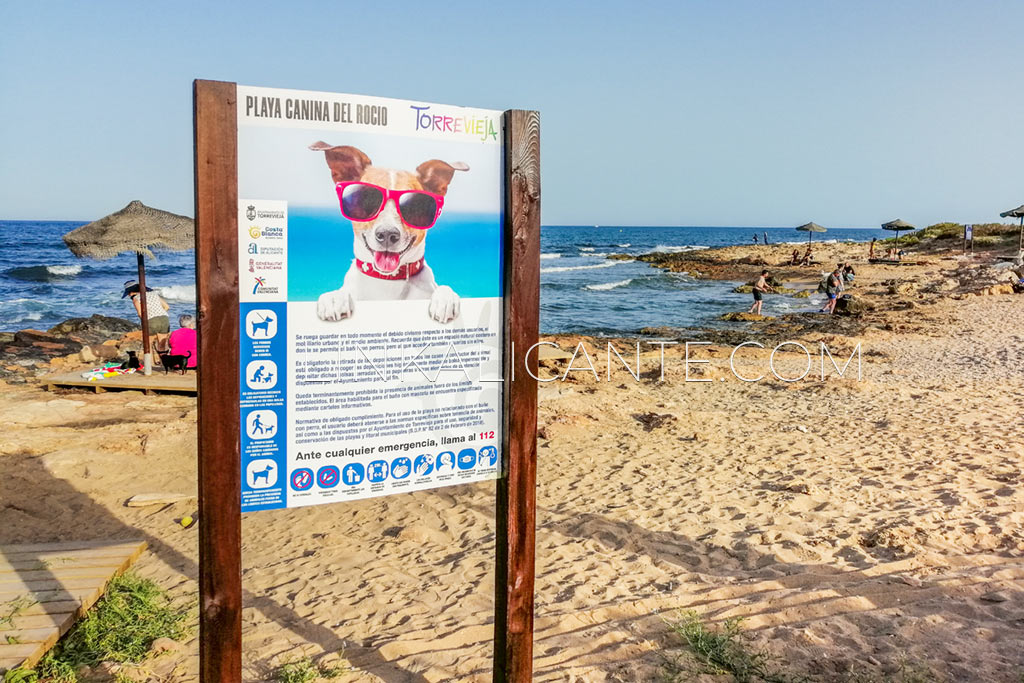 Playa canina Rocío del Mar, Torrevieja