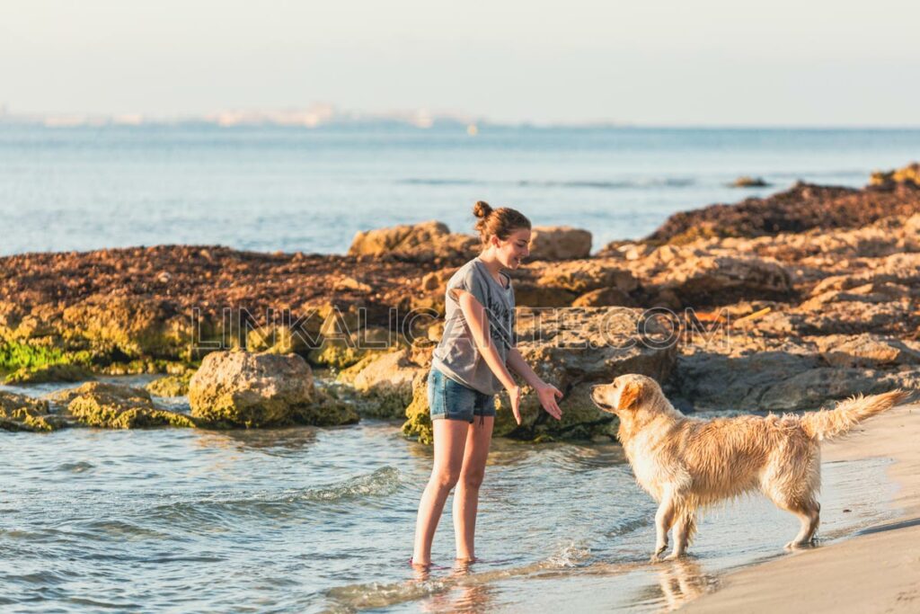 playas-perros-playas-caninas-alicante